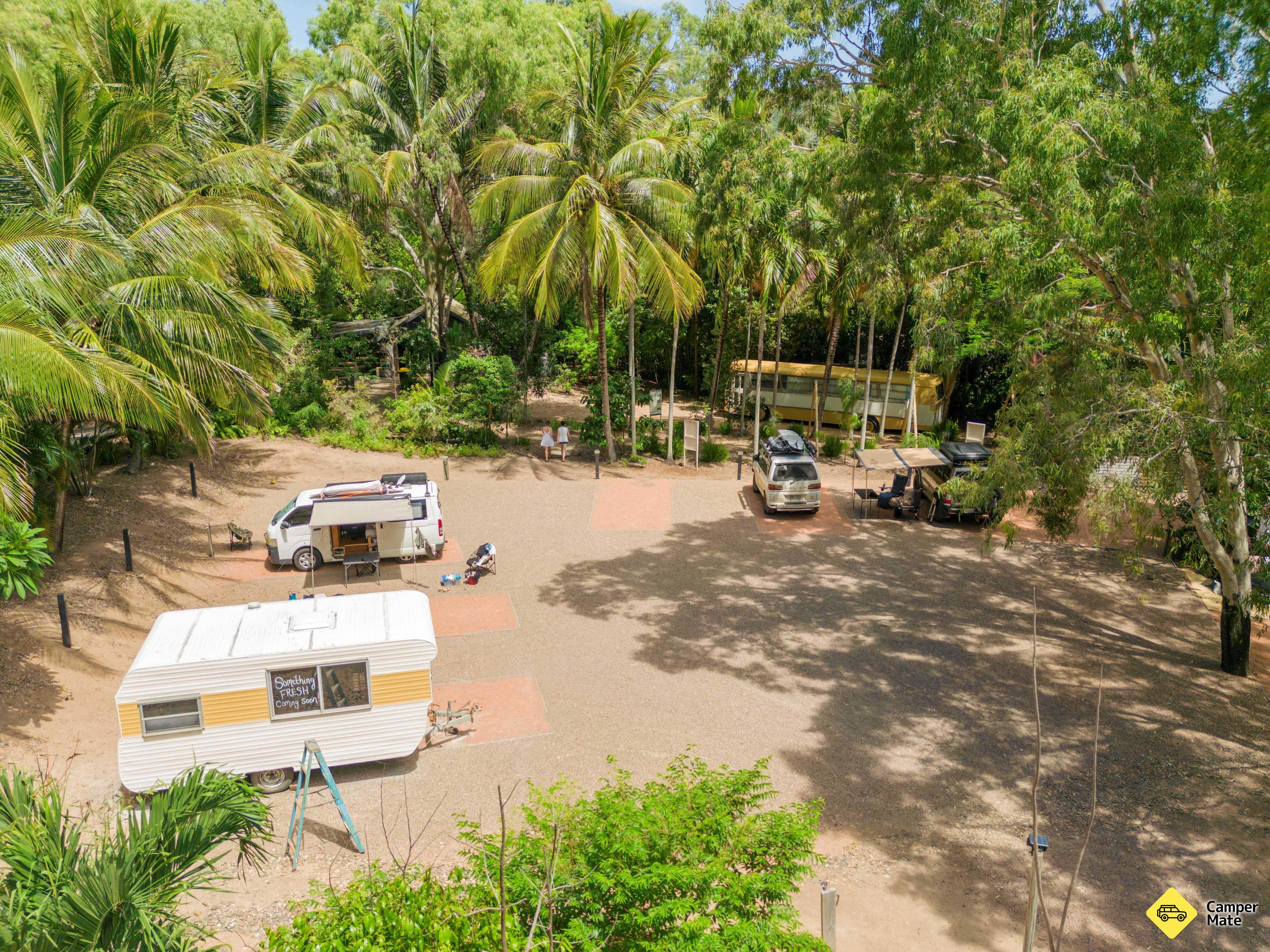 Bounce Magnetic Island and Koala Park