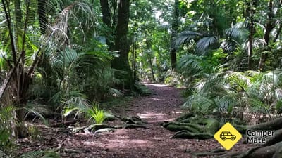 Grays Bush Scenic Reserve
