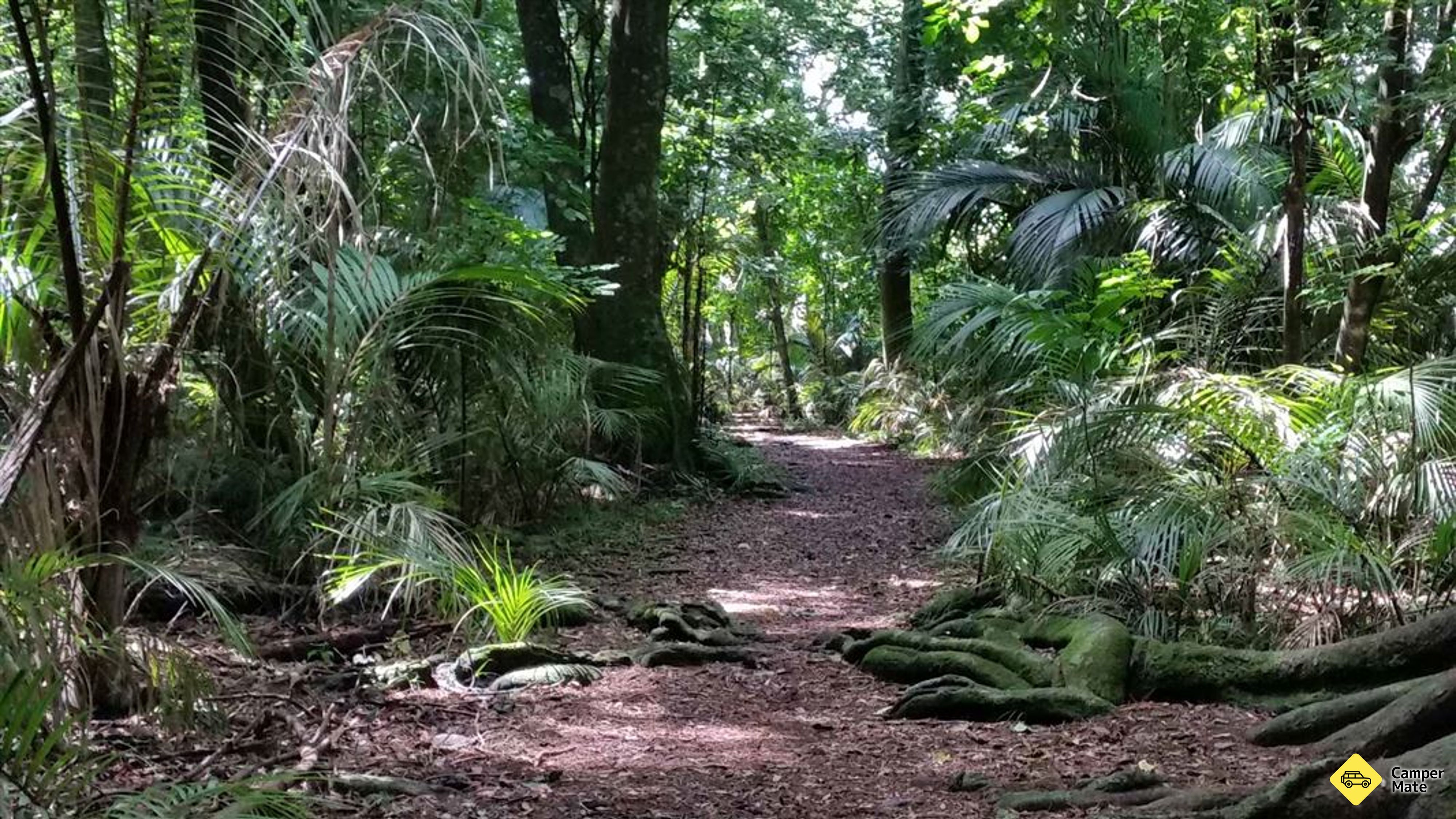 Grays Bush Scenic Reserve