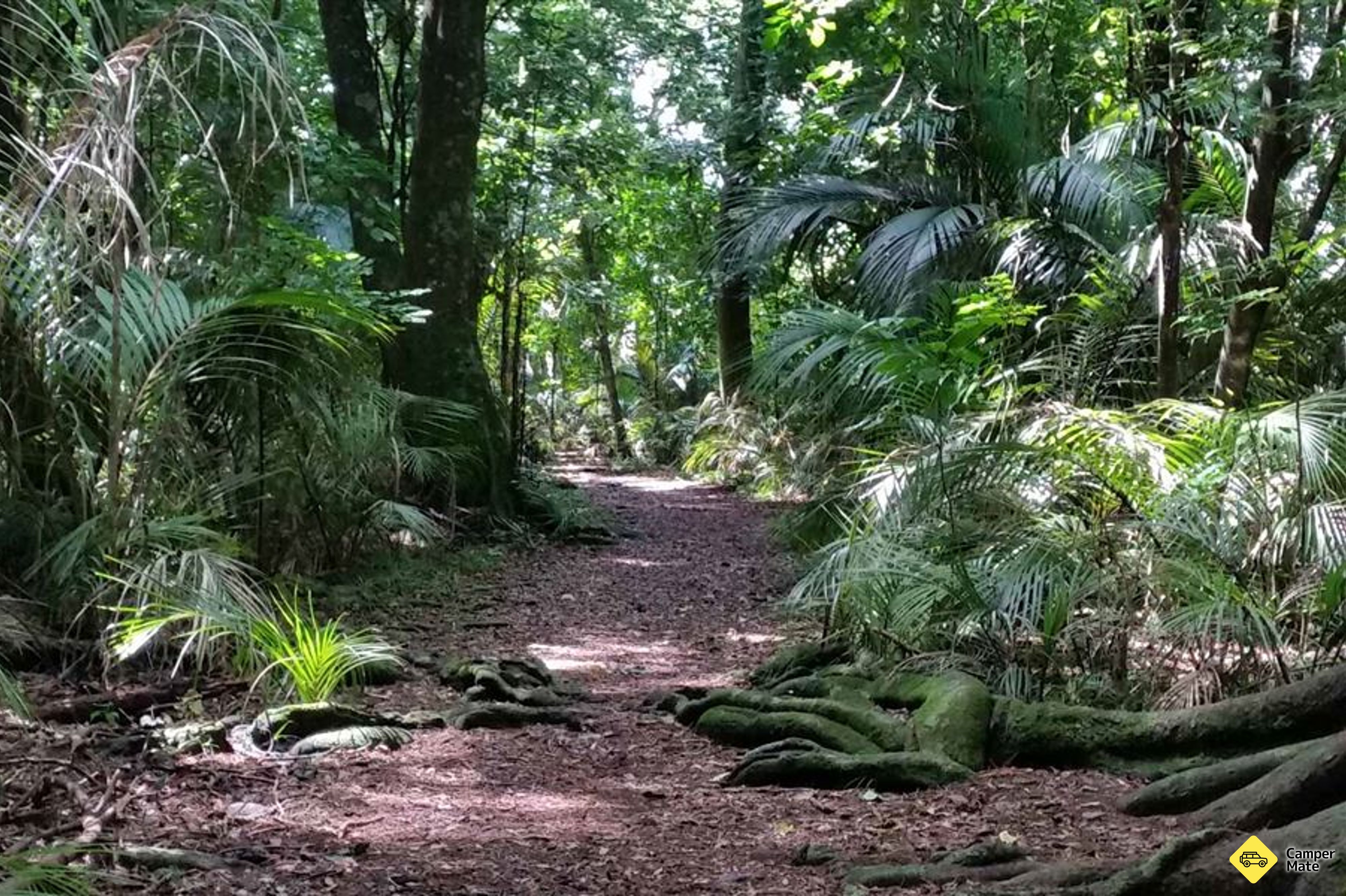 Grays Bush Scenic Reserve