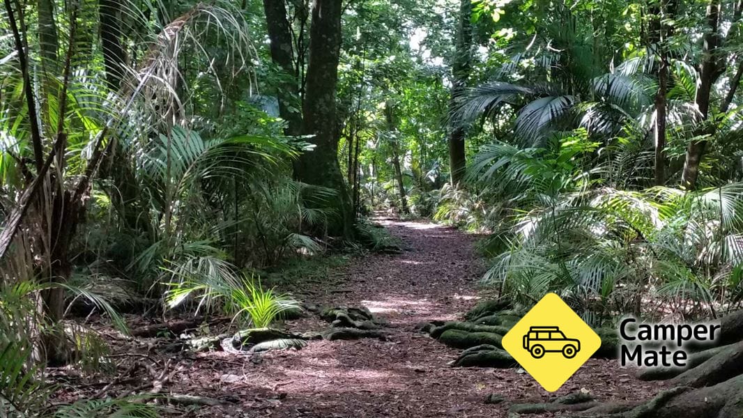 Grays Bush Scenic Reserve