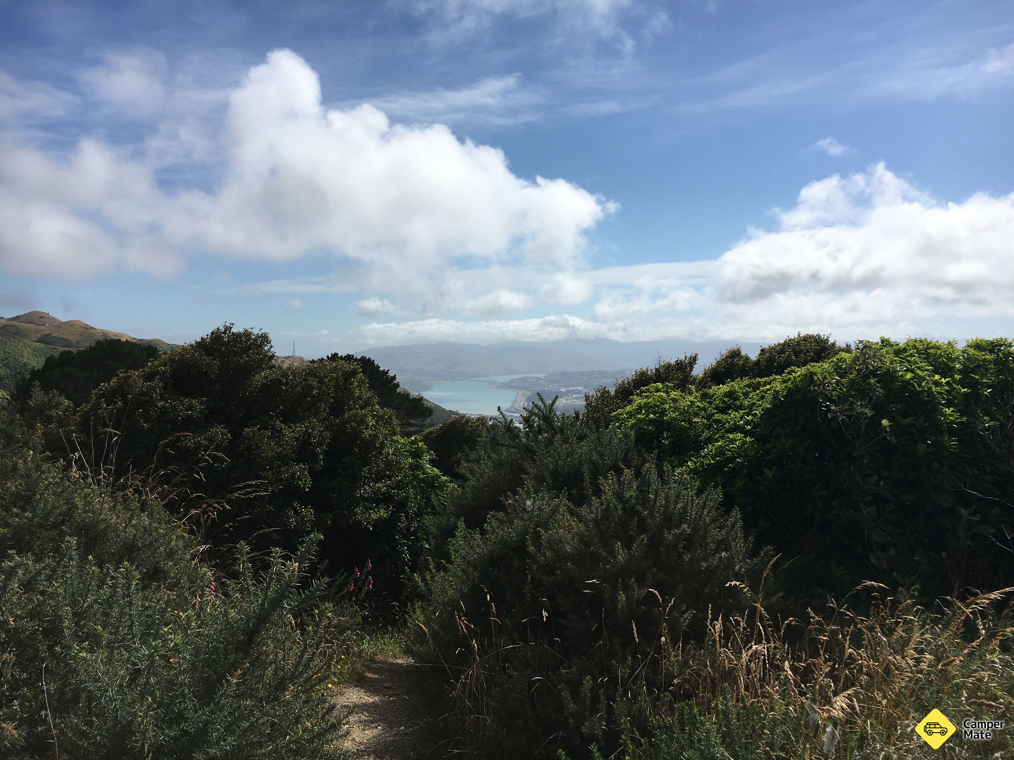Rangituhi Colonial Knob Walk - Image 3