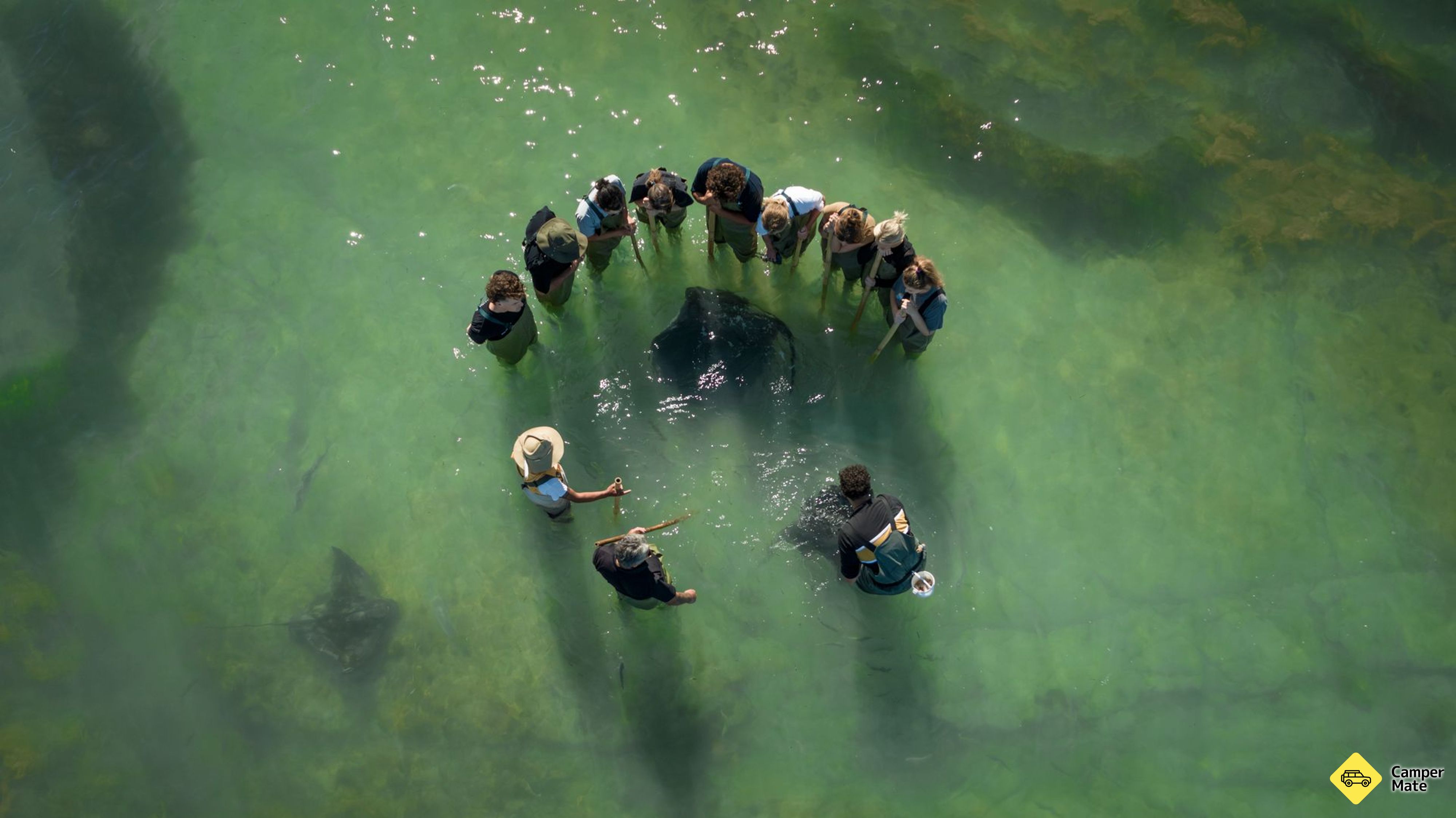 Stingray and Reef Ecology Tour