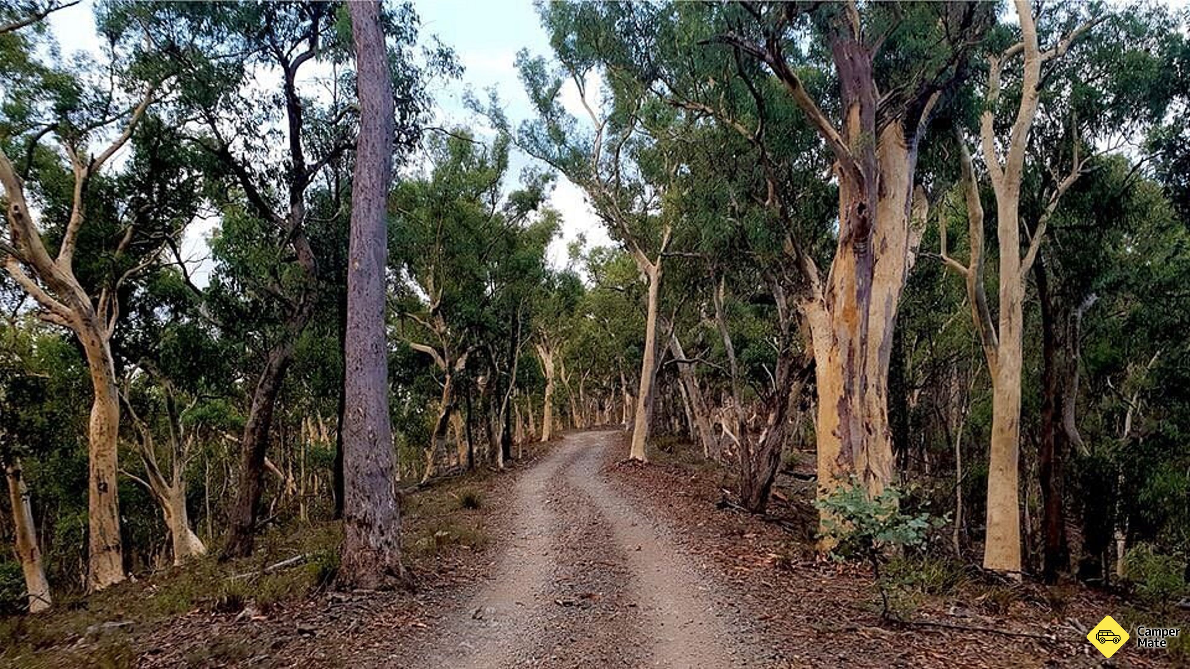 Tempat menginap di Marrangaroo Campground