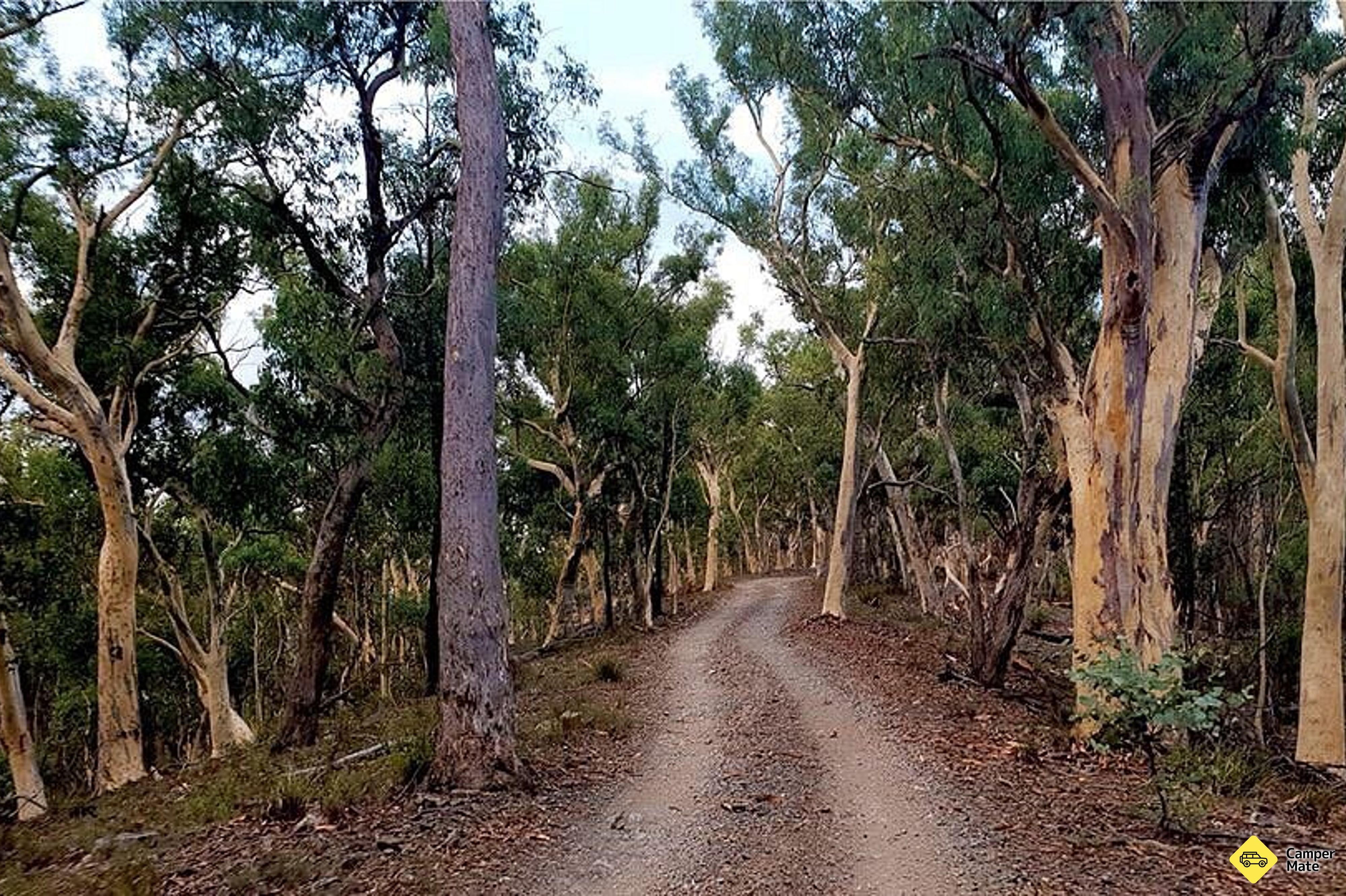 Tempat menginap di Marrangaroo Campground