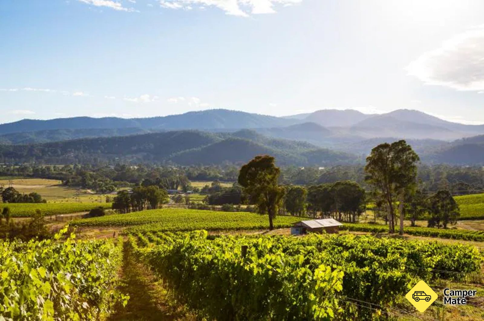 Chrismont Wines