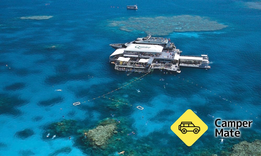 Great Barrier Reef Cruises, Snorkelling and Diving - Image 2