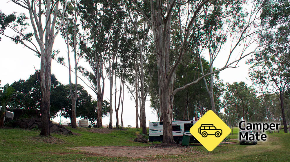 فندق Tall Timbers Motel & Caravan Park