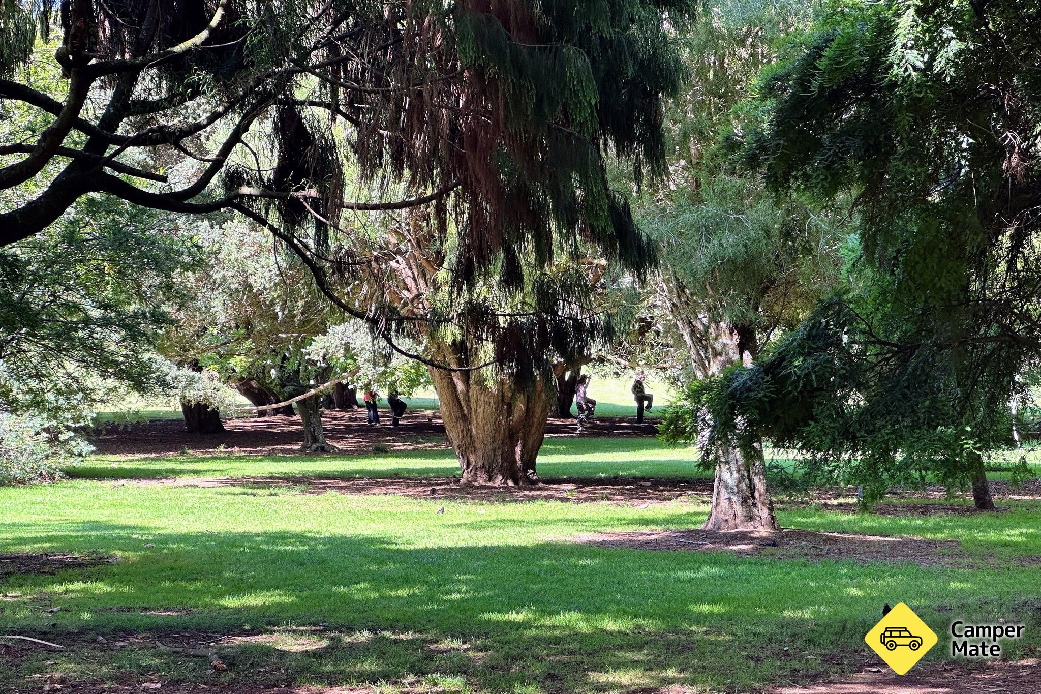 Cornwallský park - Image 3