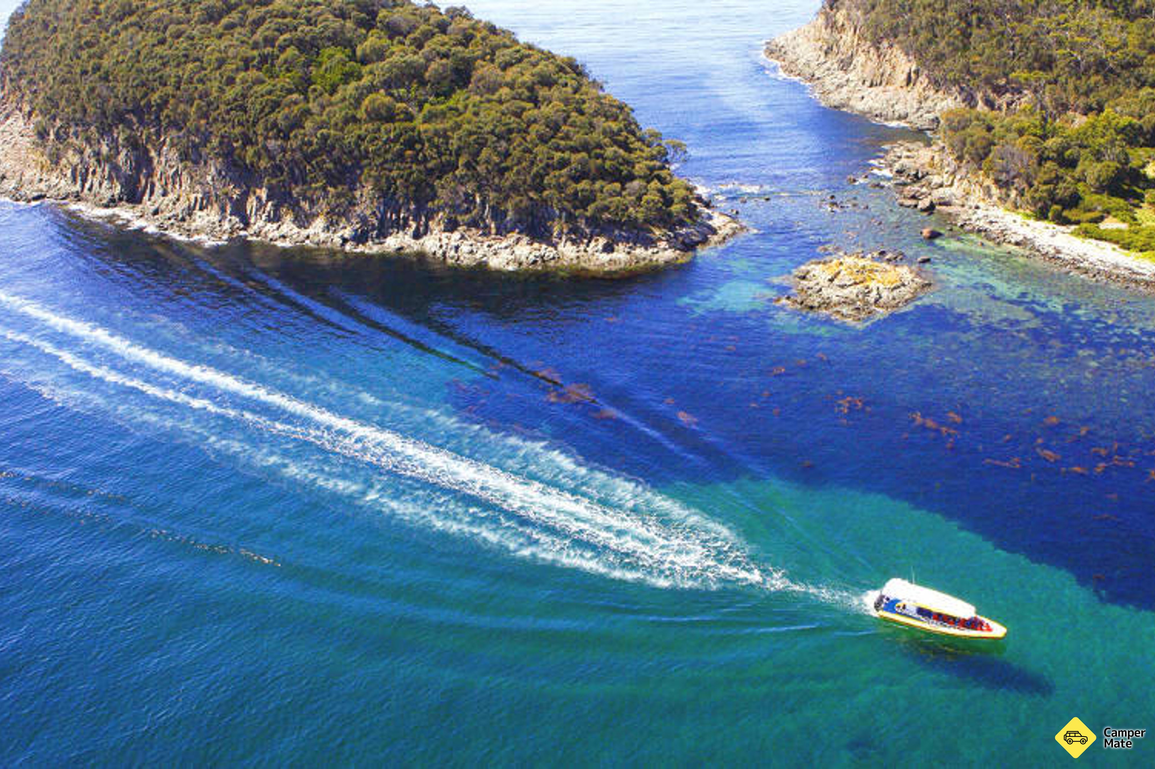 Les anmeldelser av Bruny Island Wilderness Cruise - Image 3