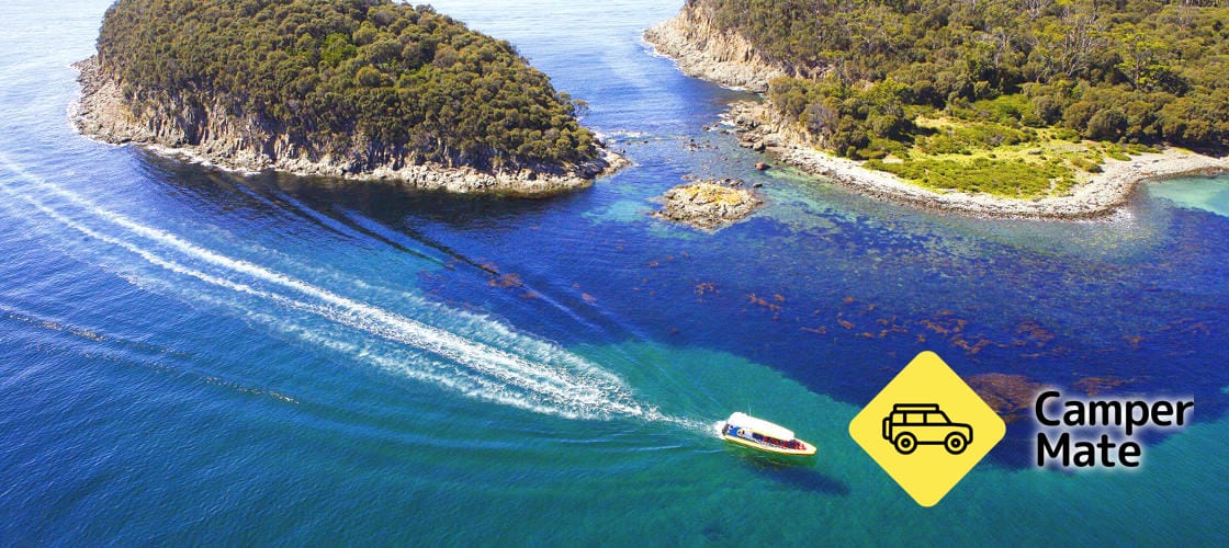 Bruny Island Wilderness Cruise - Image 3