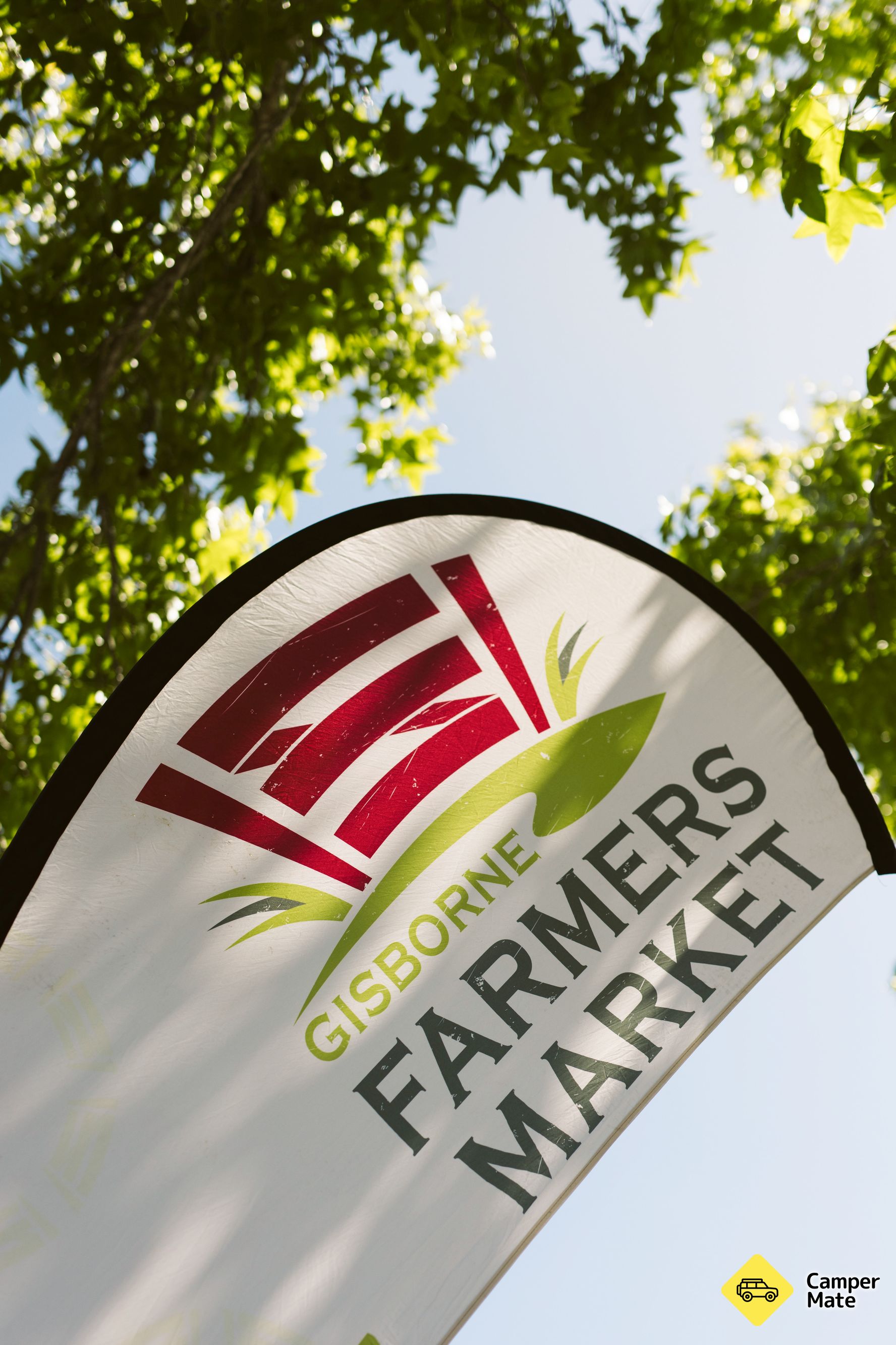 Gisborne Farmers Market - Image 2