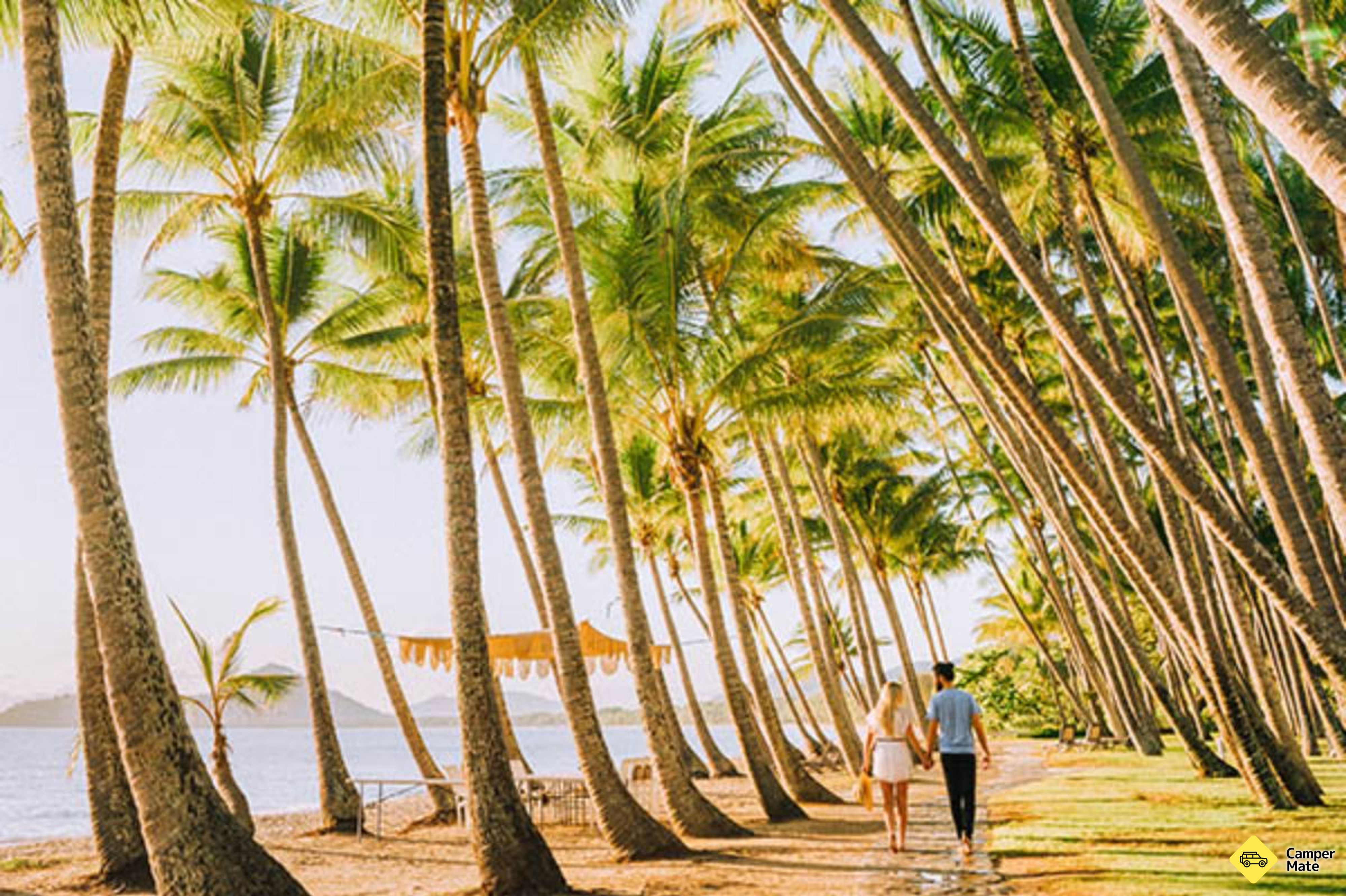 Hal yang dapat dilakukan di dekat Palm Cove Holiday Park - Image 3