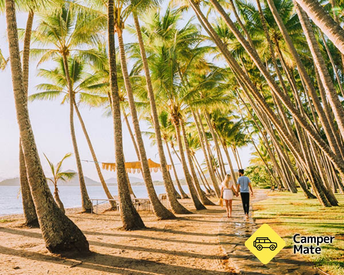 Hal yang dapat dilakukan di dekat Palm Cove Holiday Park - Image 3