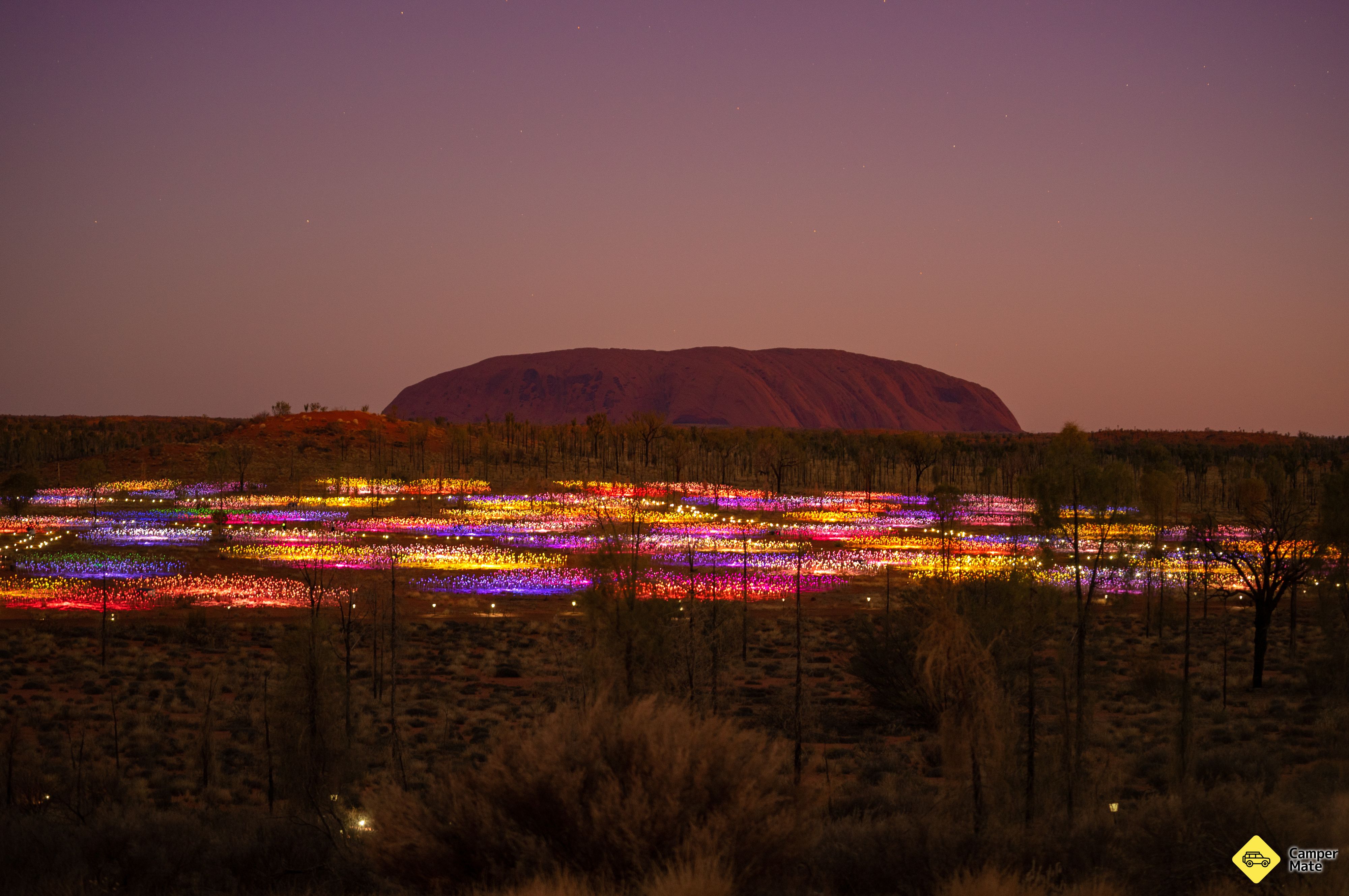 Field of Light Uluru