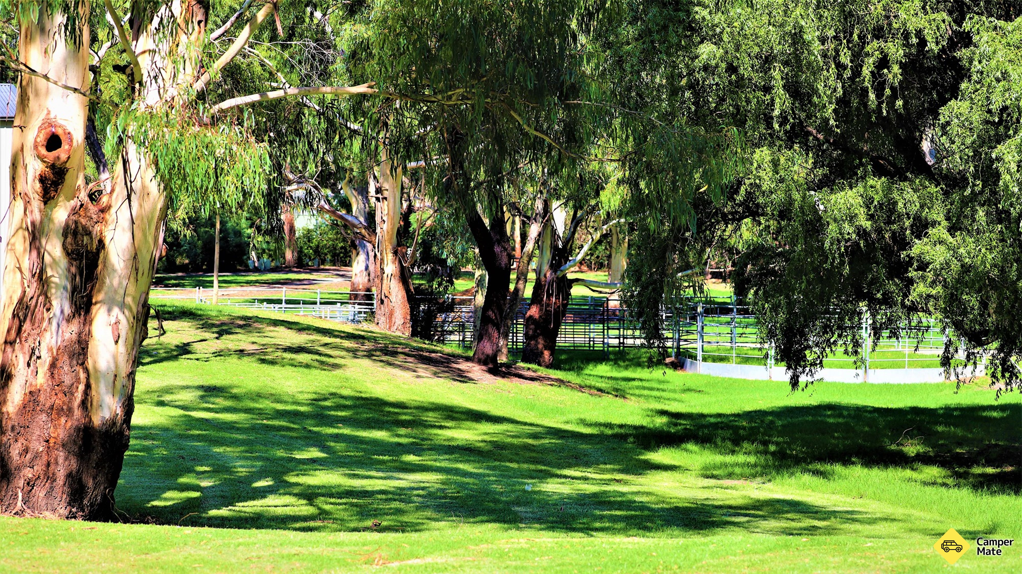 Parque de Akoonah
