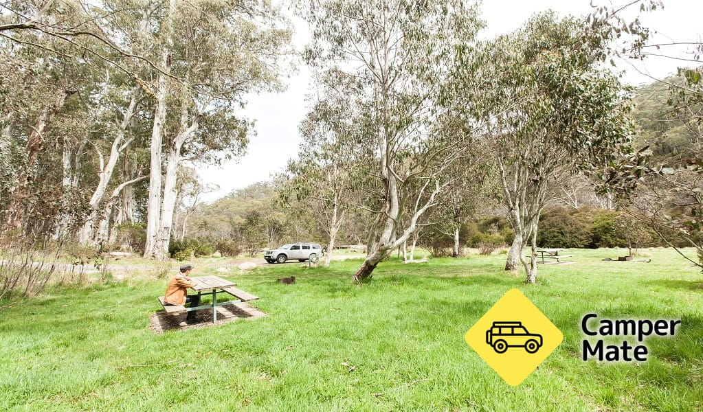 Clover Flat Campground 근처 오락거리