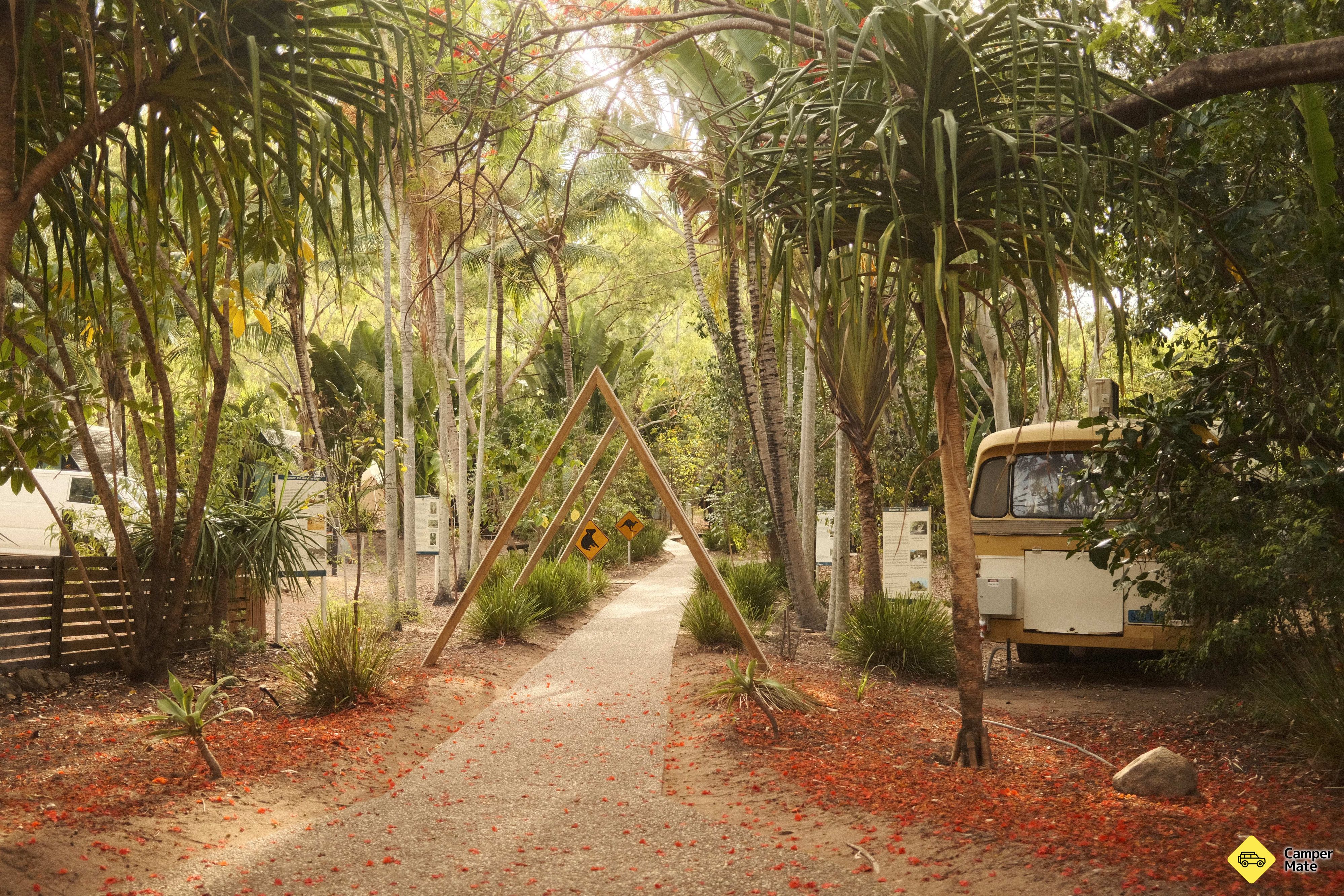 Bounce Magnetic Island and Koala Park - Image 3