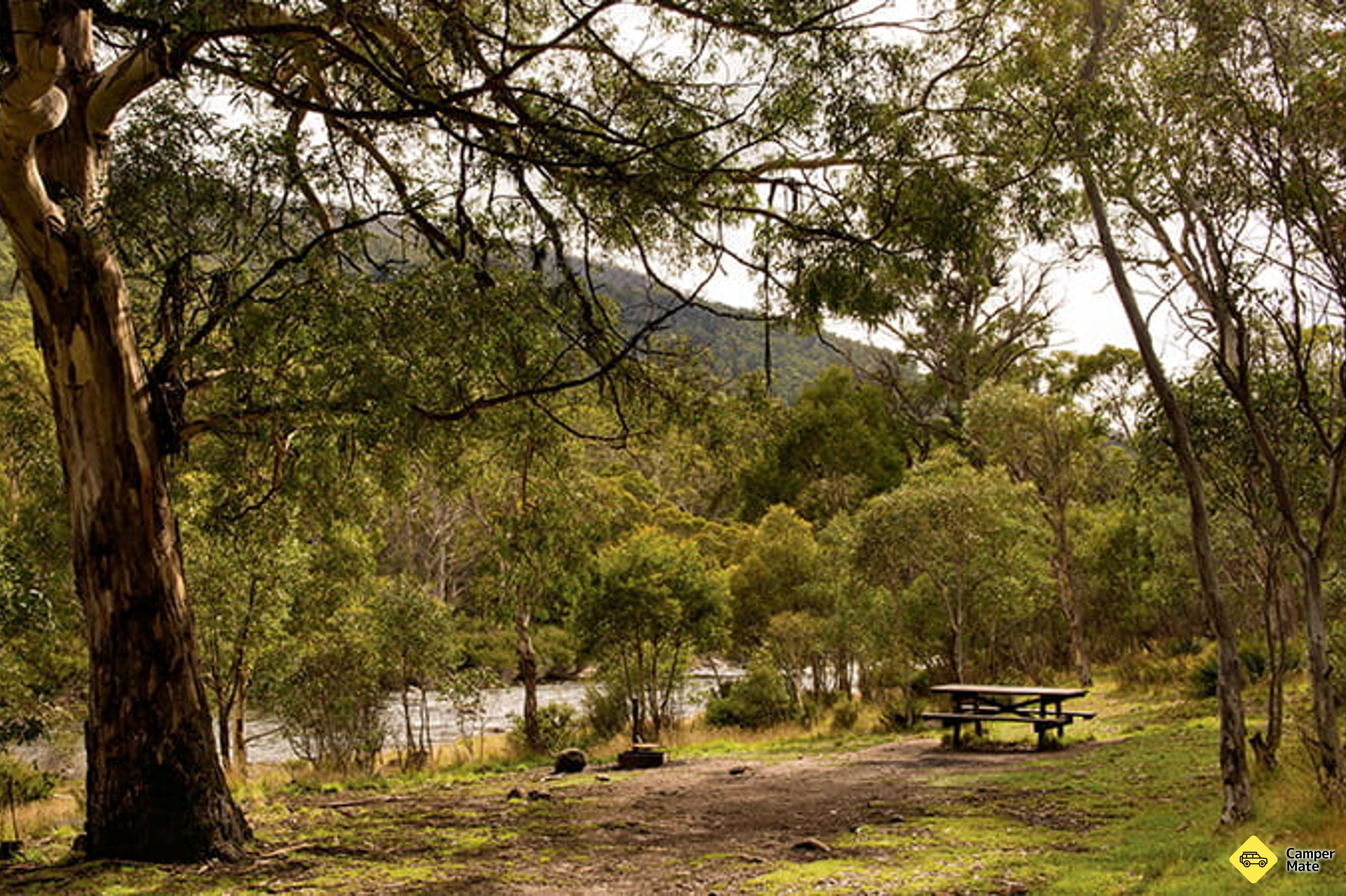 Island Bend Campground