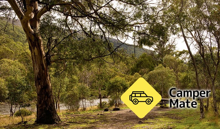 Island Bend Campground