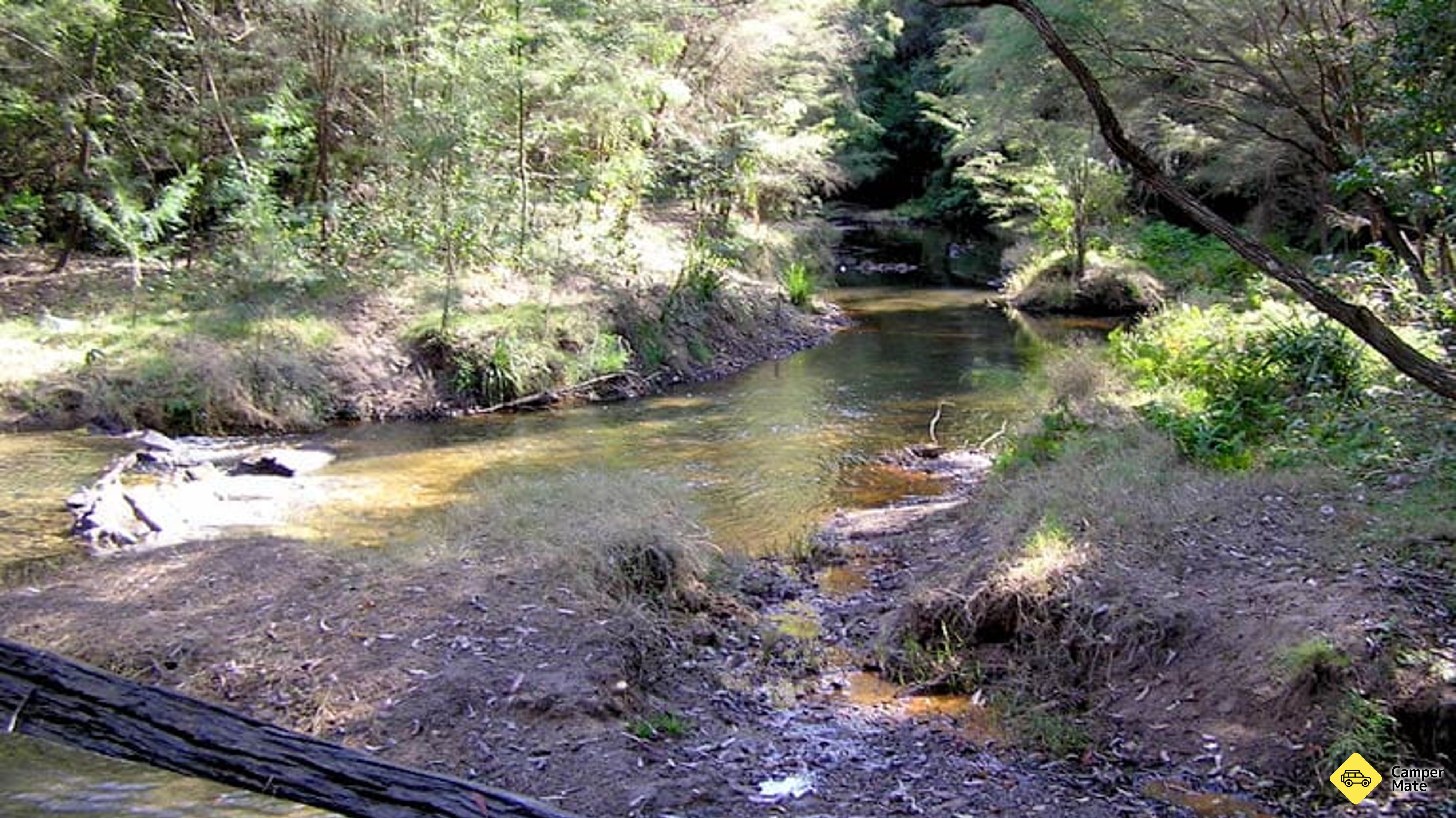 Aktivitäten in der Nähe von Wheeny Creek Camping
