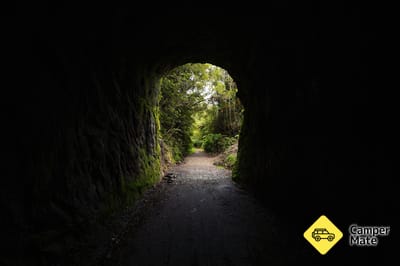 Chasm Creek Glow Worm Walk