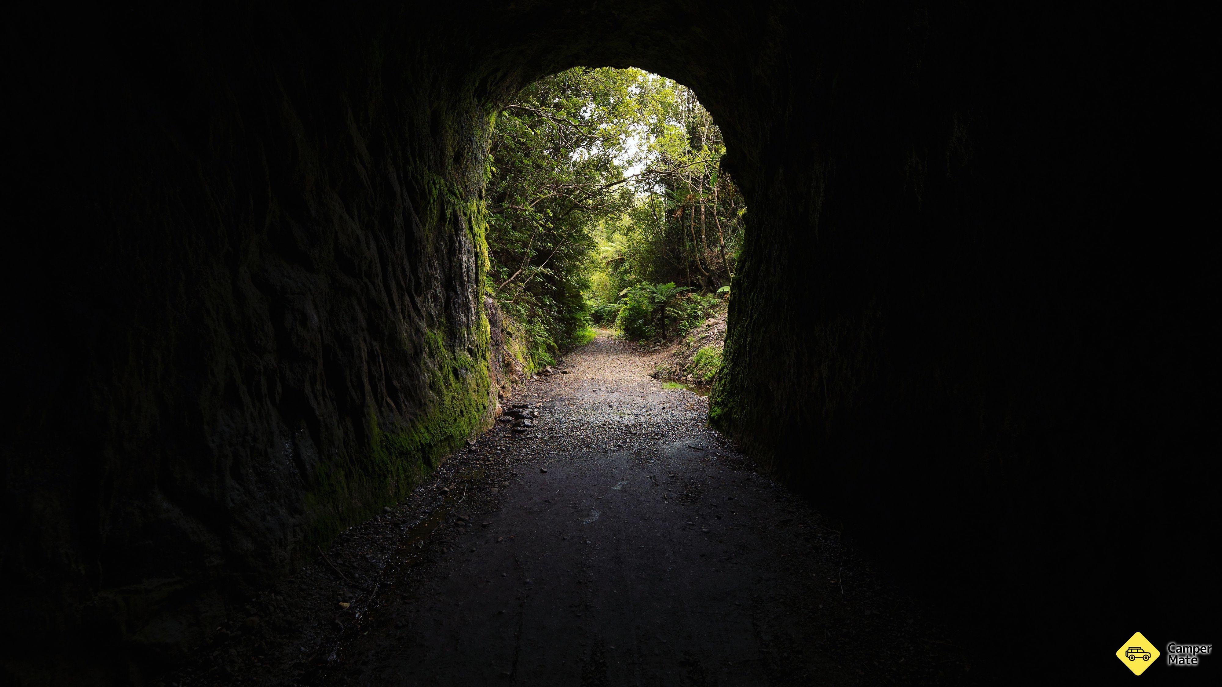 Chasm Creek Glow Worm Walk