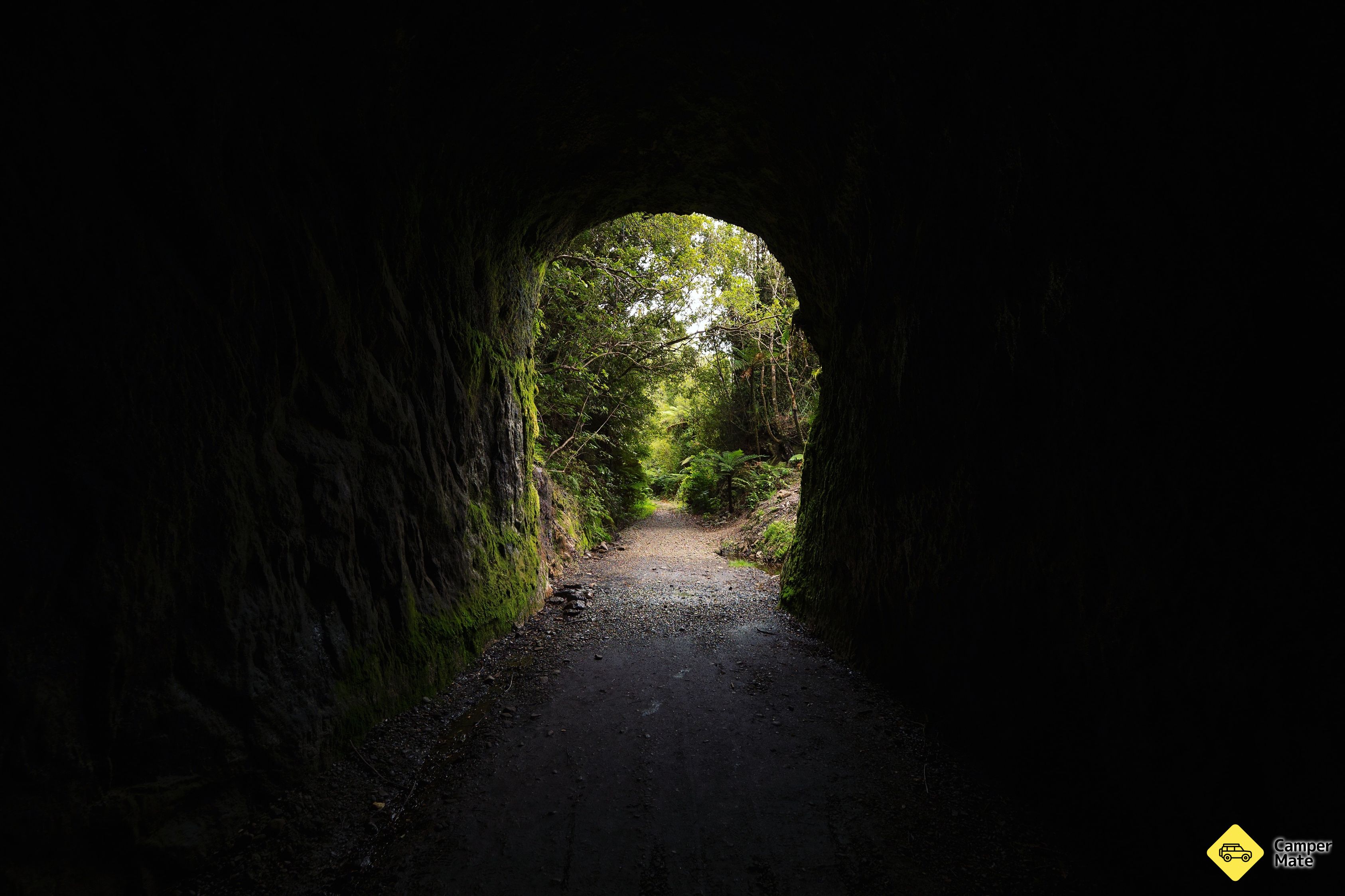 Chasm Creek Glow Worm 漫步