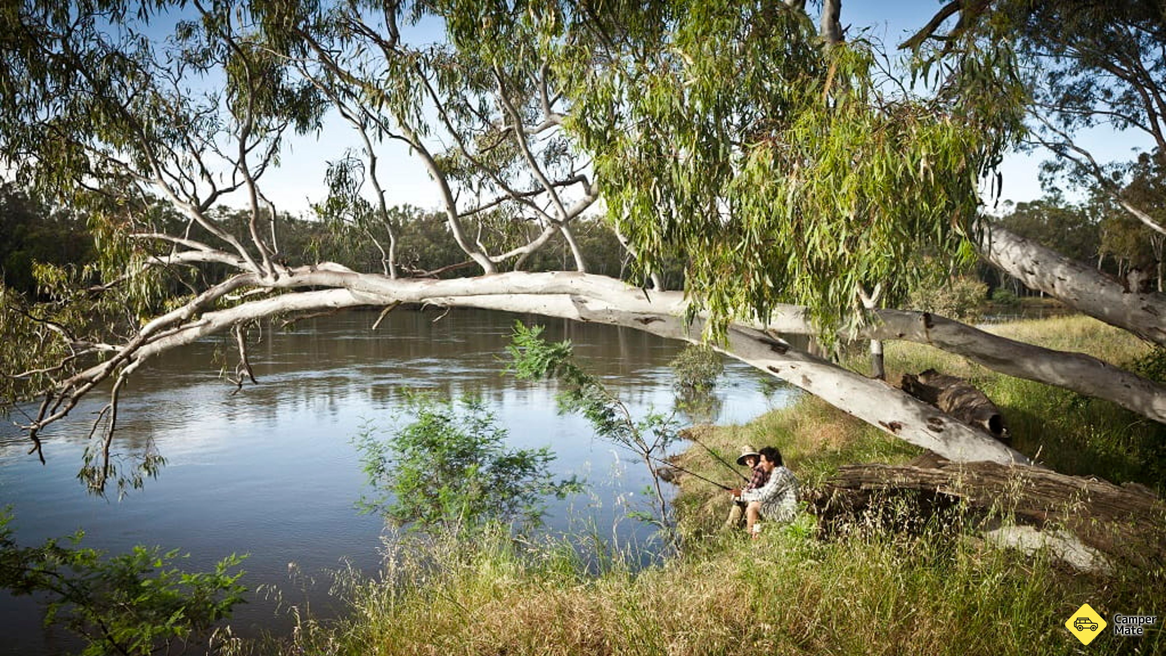 Les campings de Thornley