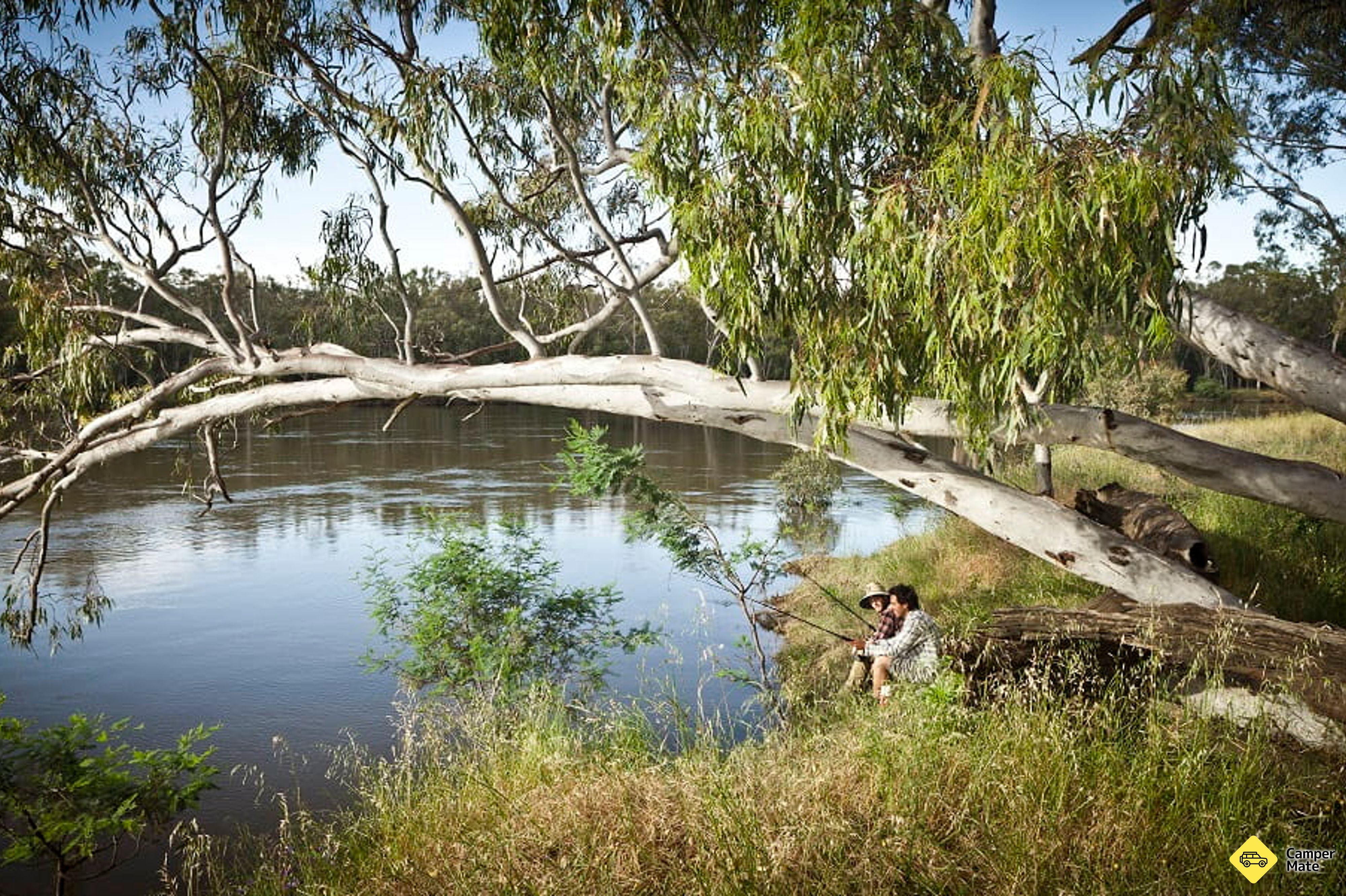 Les campings de Thornley