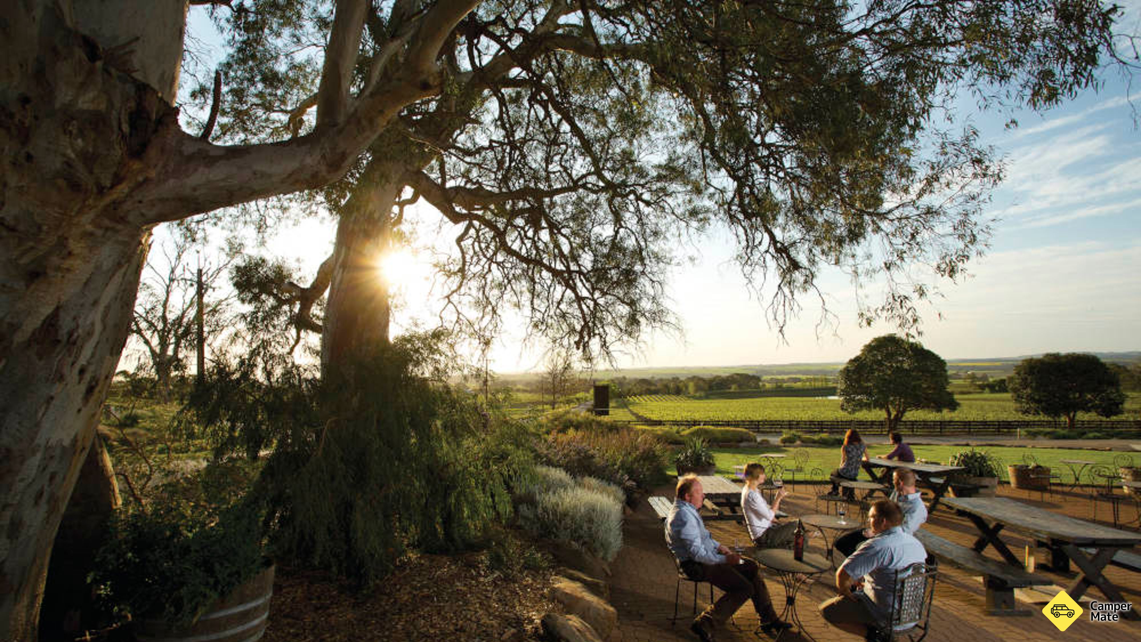 Barossa Valley Hop On Hop Off Tour