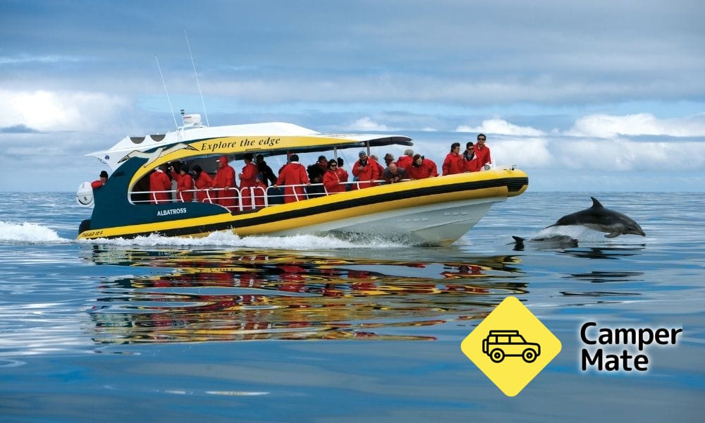 Bruny Island Wilderness Cruise