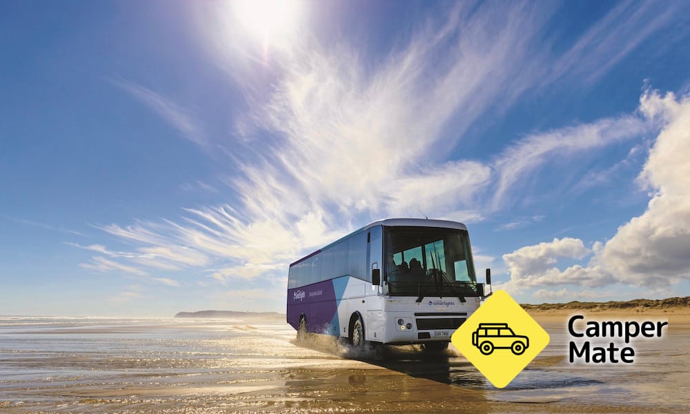 Cape Reinga Day Tour with 90 Mile Beach - Image 3
