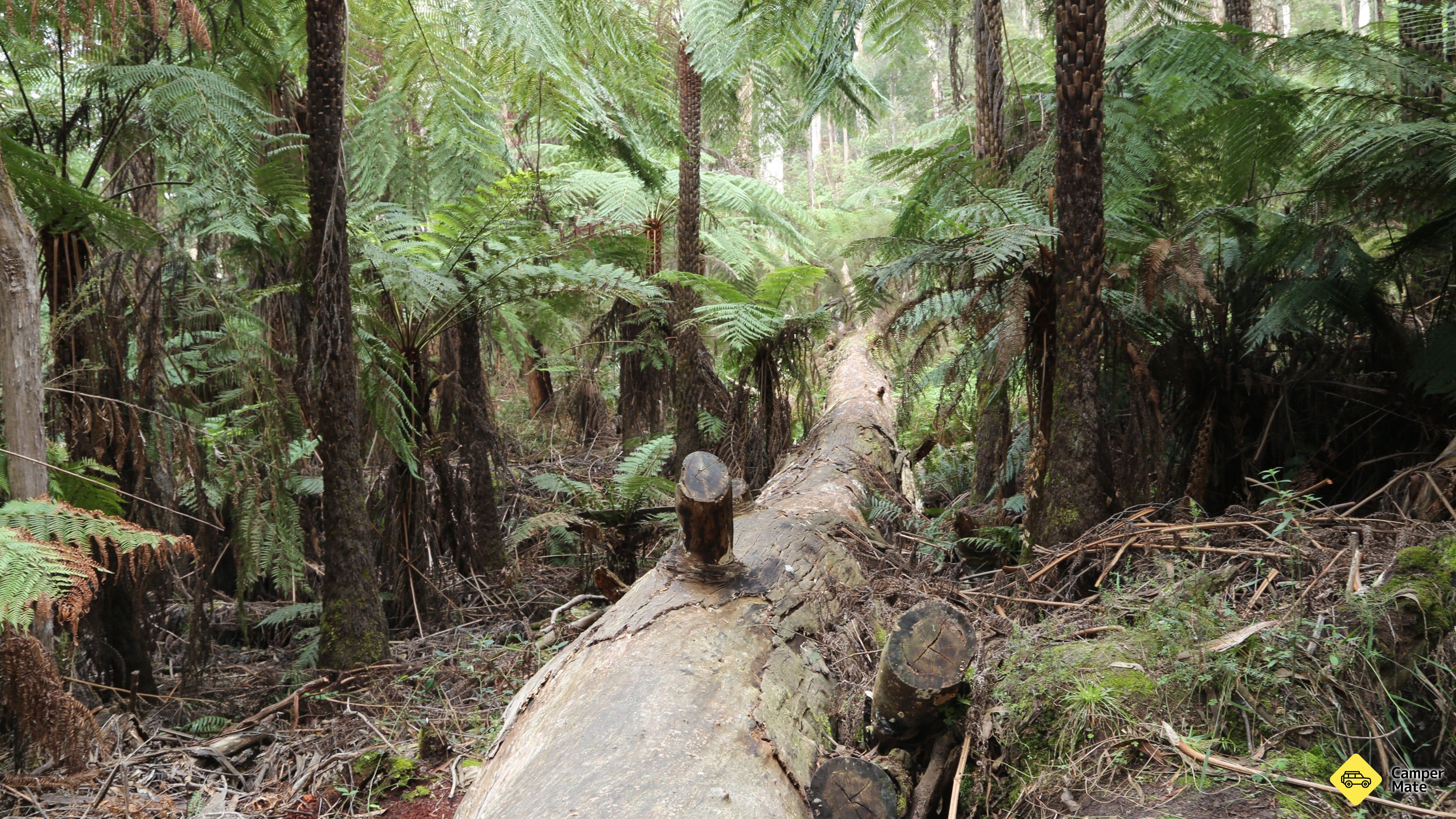 Upper Yarra Reservoir पार्क