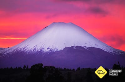 Tongariro Crossing Shuttles
