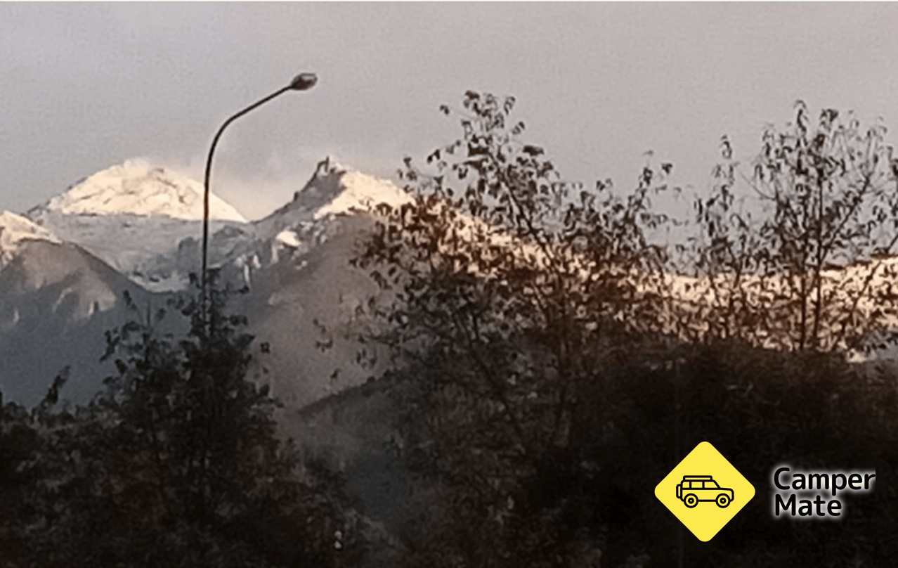 कोहली खेत - Image 3