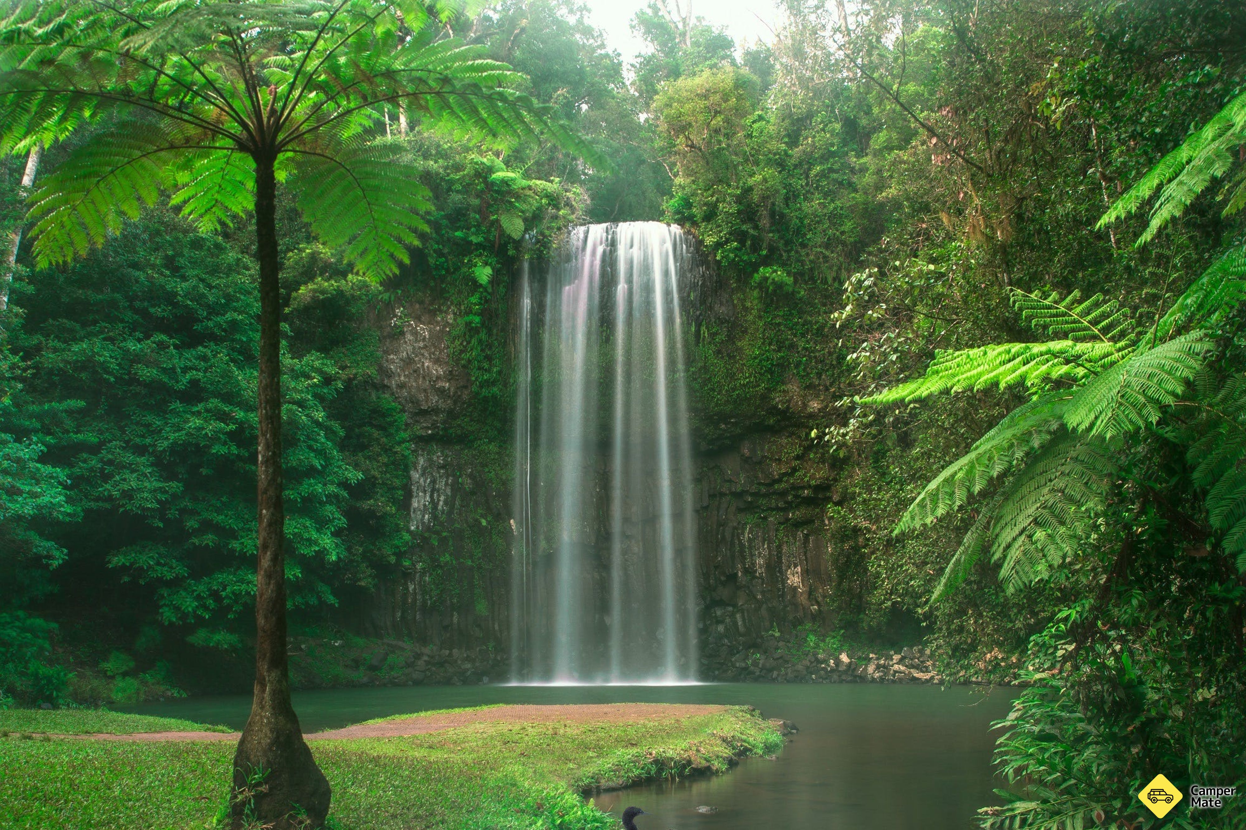 Millaa Millaa Falls - Image 2
