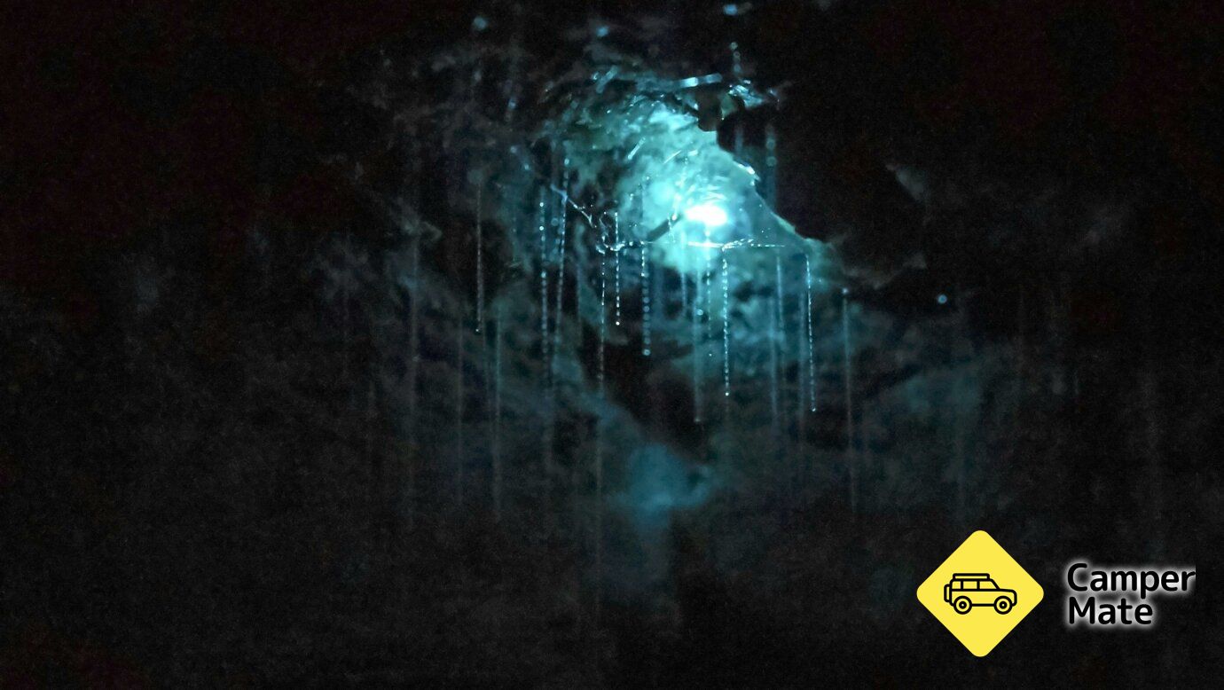 Glow Worm Caves Tamborine Mountain