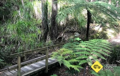 Catchpool Loop Walk