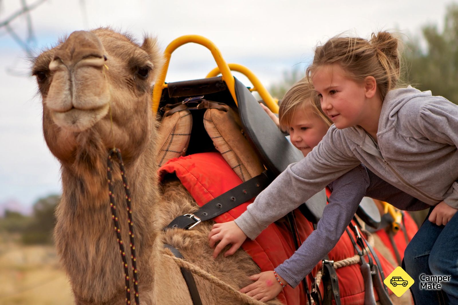 Uluru Camel Farm