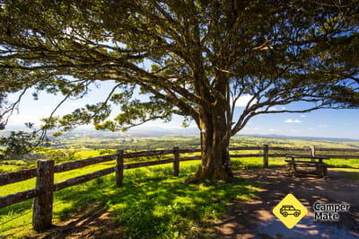 Millaa Millaa Lookout
