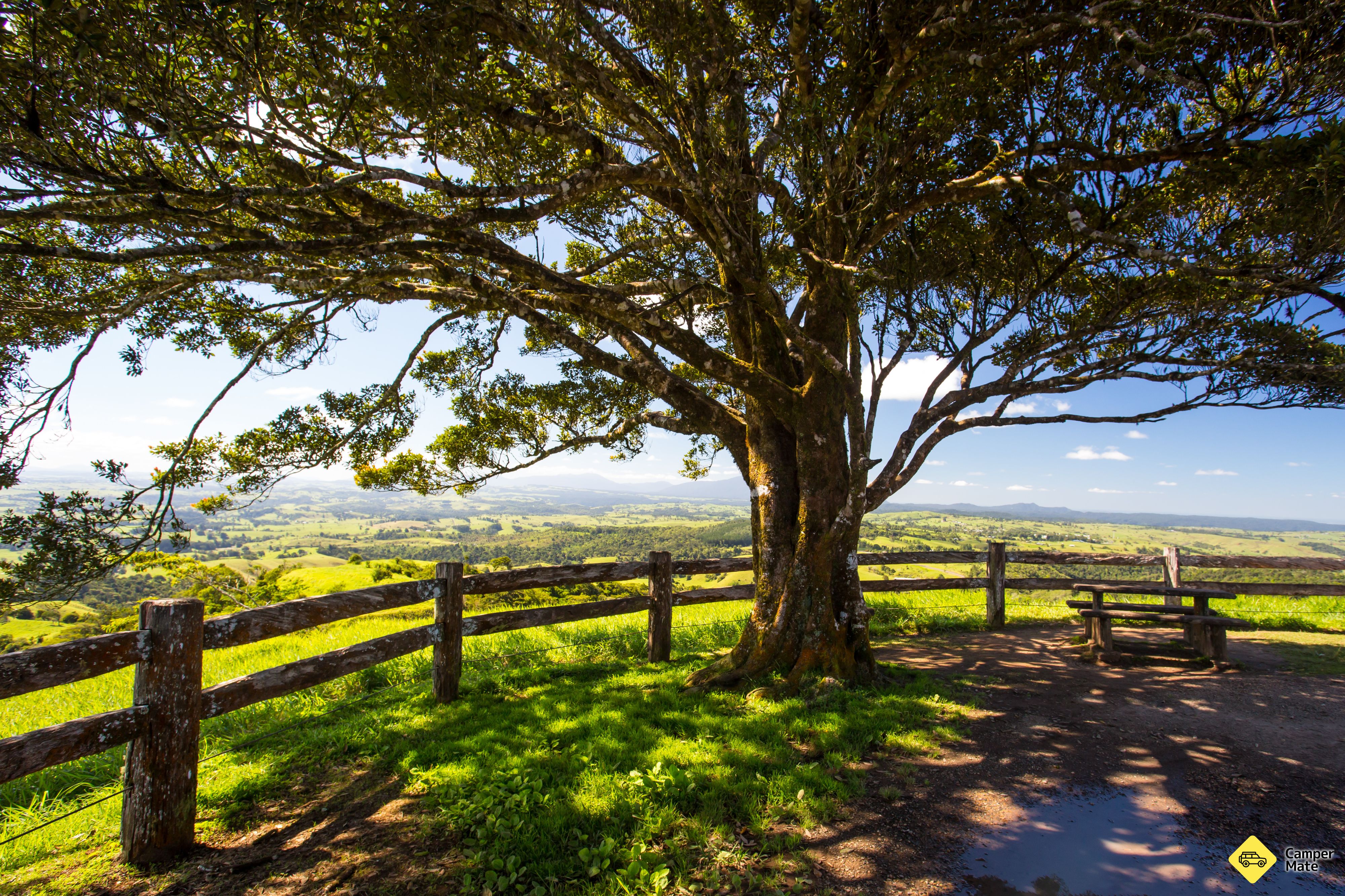 Millaa Millaa Lookout