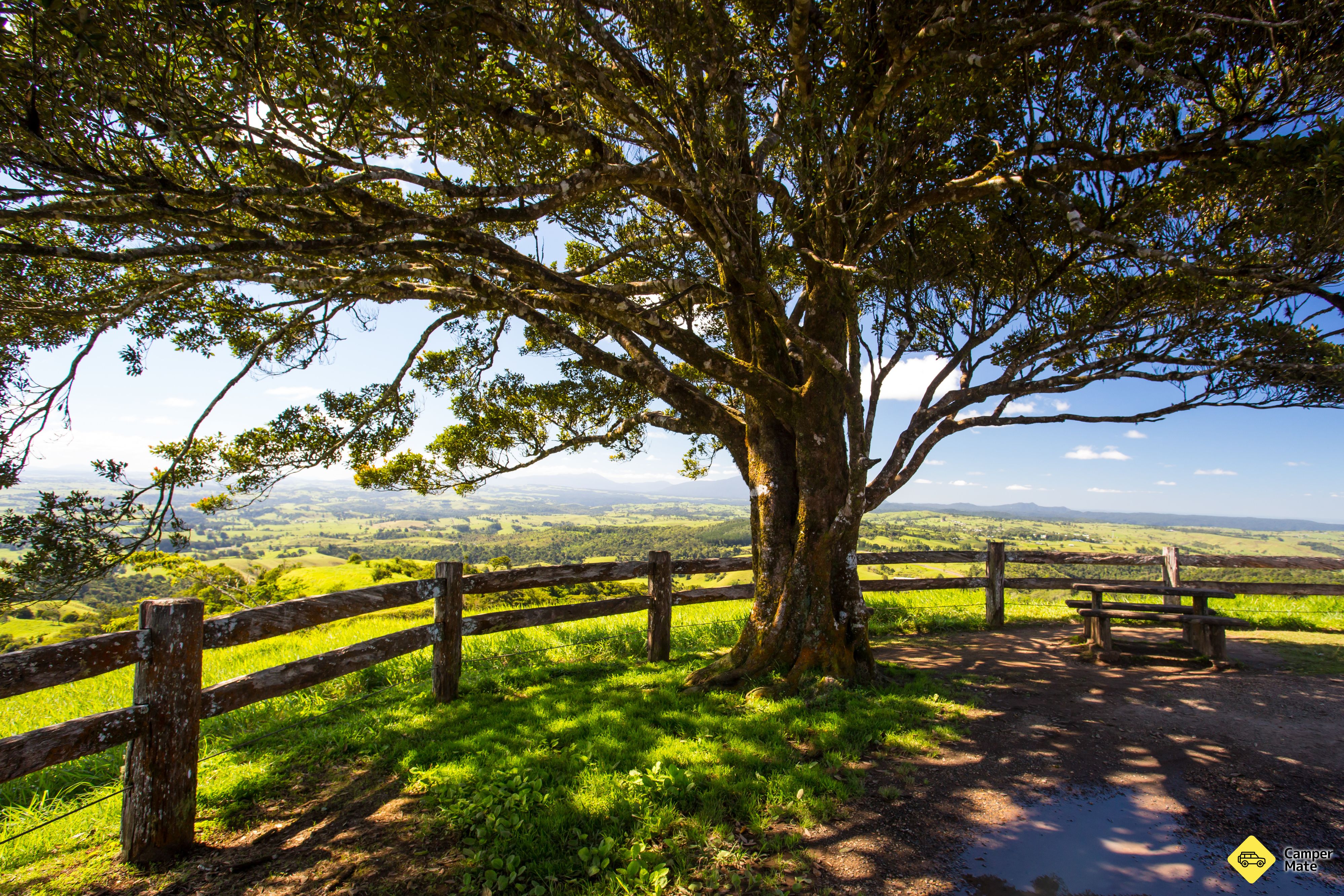 Millaa Millaa Lookout