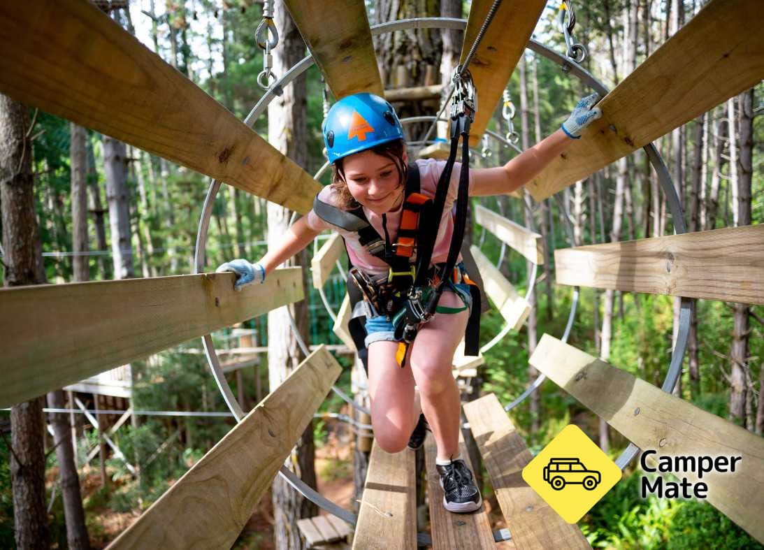 Treetops Adventure Hollybank - Image 2