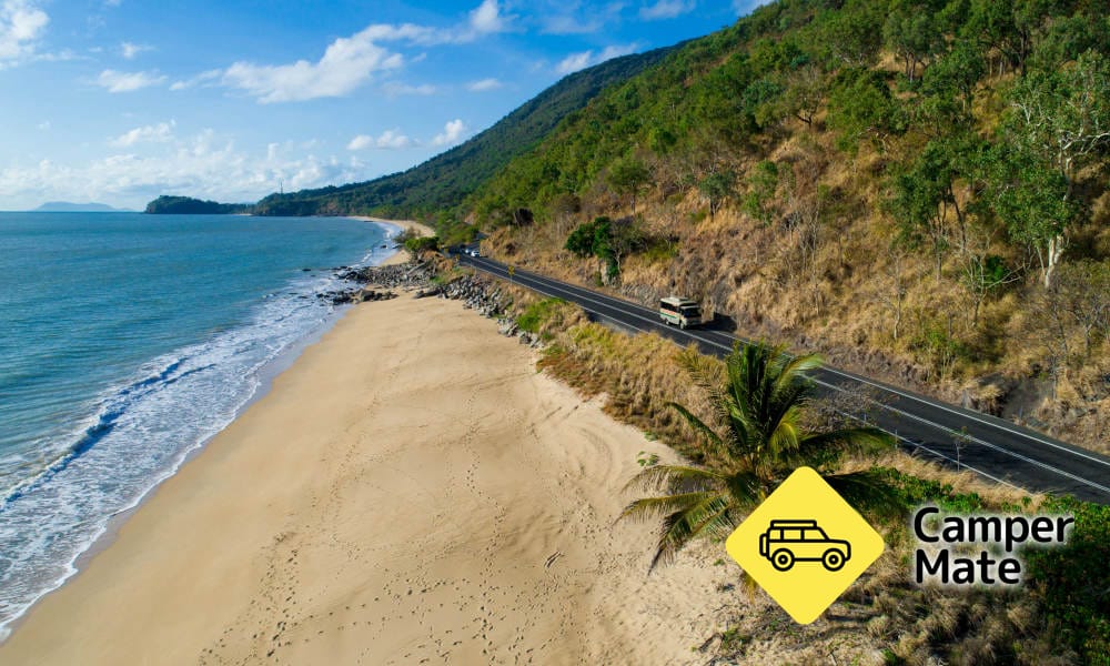 1 dag Daintree Rainforest, Cape Tribulation og Bloomfield Track Tour