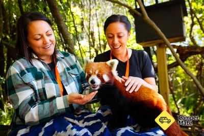 Wellington Zoo