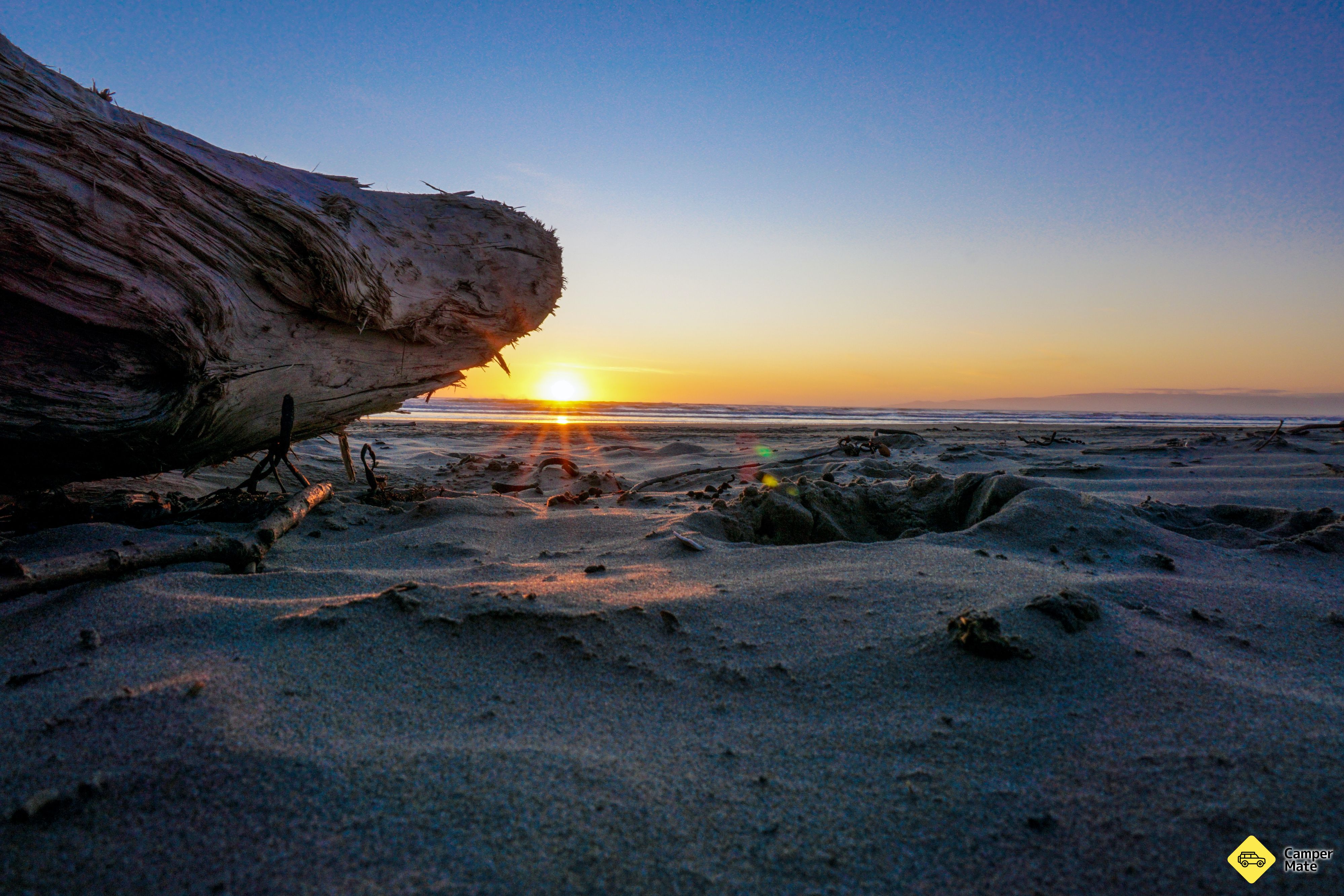 Oreti Beach - Image 2