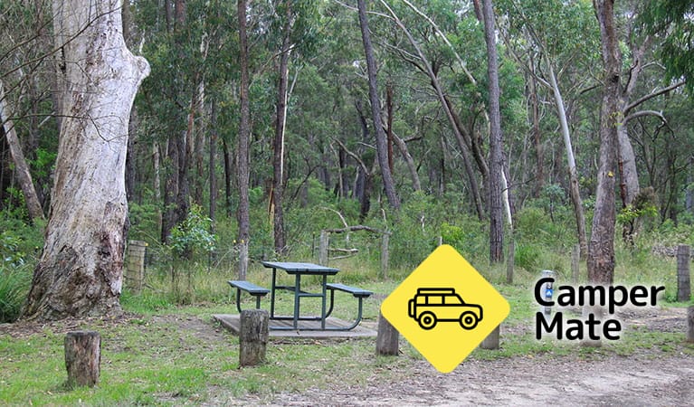 Carrington Falls Campground - Image 2