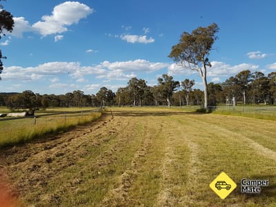 Wattle Flat Racecourse