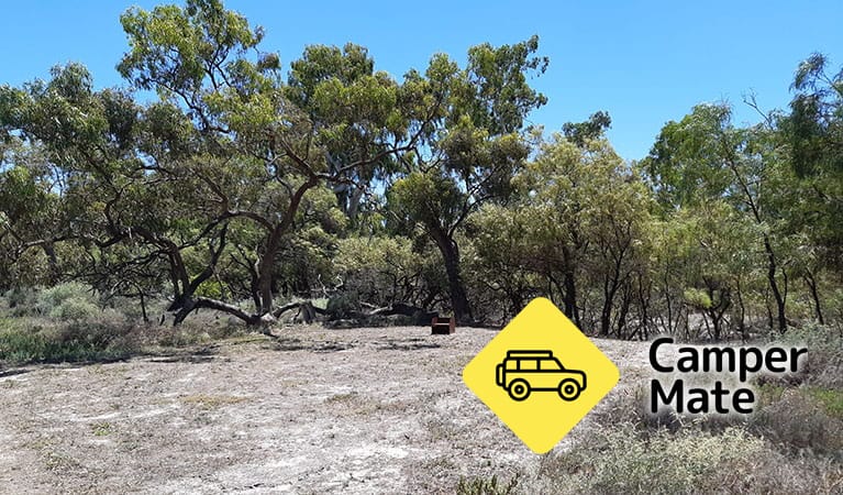 Lachlan River Campground - Image 2